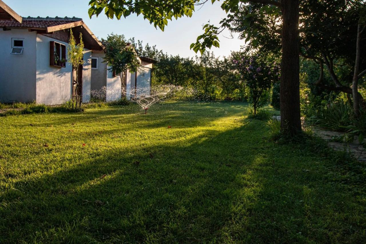 La Livada Villa Greci Exteriör bild