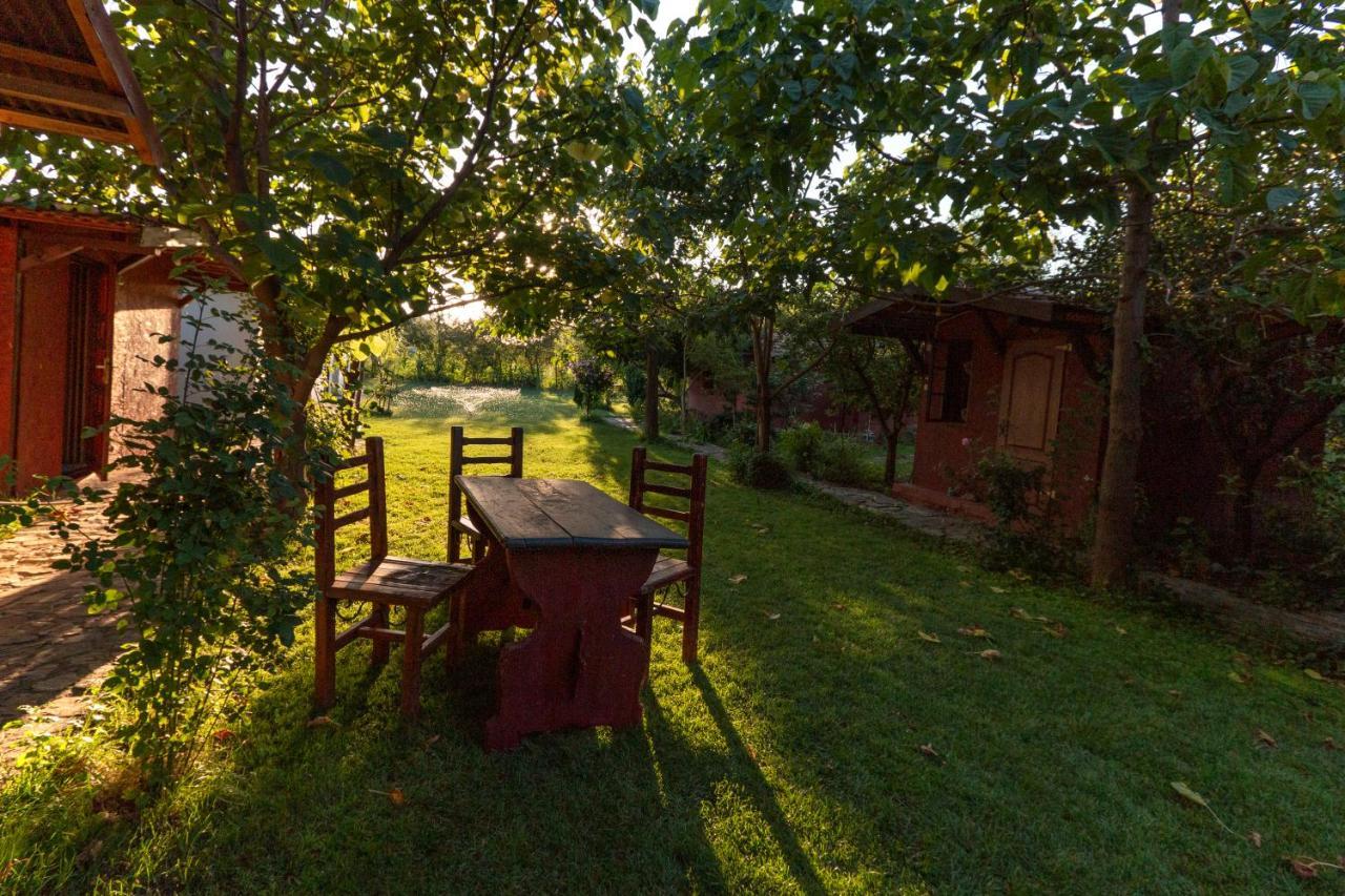 La Livada Villa Greci Exteriör bild
