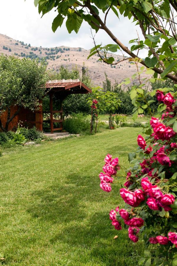 La Livada Villa Greci Exteriör bild