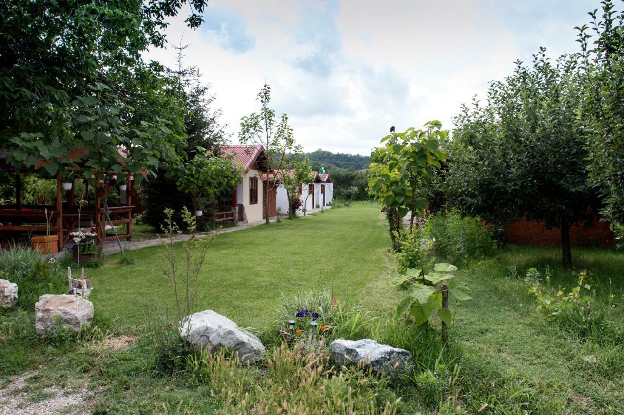 La Livada Villa Greci Exteriör bild